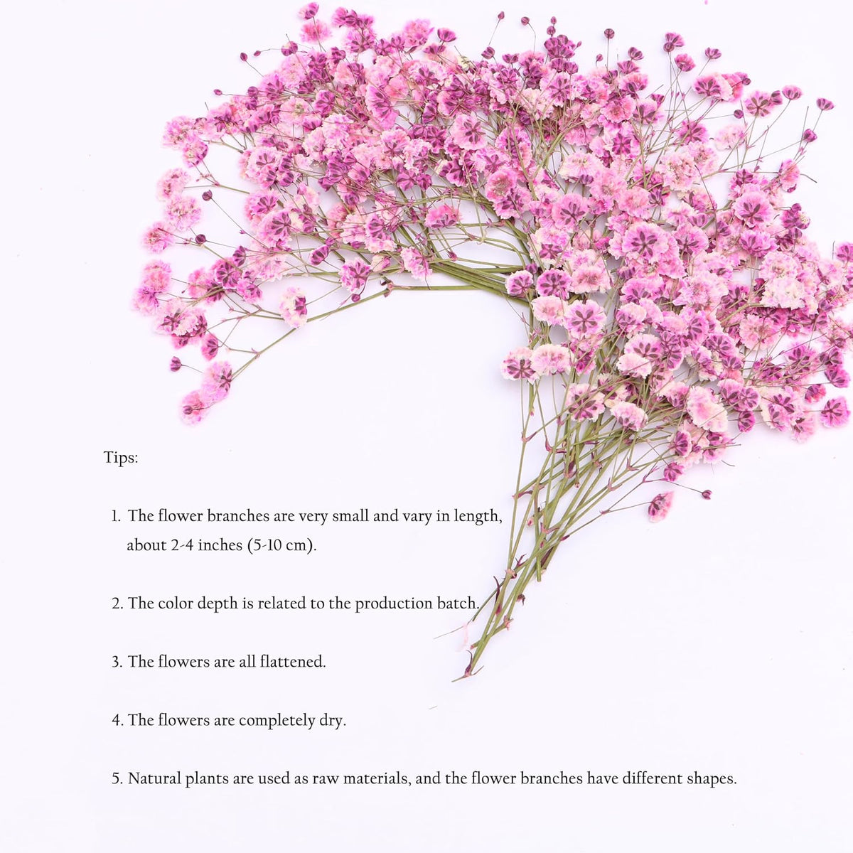 30 Pcs Pink Baby's Breath Real Dried Pressed Flowers.Vacuum-Packed Mini DriedBaby's Breath Flowe Specimen +1 Tweezers, for Resin Art /DIY Making Wedding Card/ Home Party Decor.