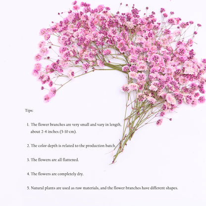 30 Pcs Pink Baby's Breath Real Dried Pressed Flowers.Vacuum-Packed Mini DriedBaby's Breath Flowe Specimen +1 Tweezers, for Resin Art /DIY Making Wedding Card/ Home Party Decor.