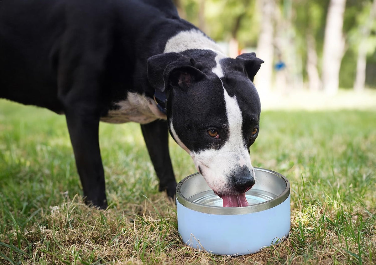 Set of 2 Stainless Steel Dog Bowls, Non Slip, Metal Pet Bowl for Food and Water, Double Walled Insulated, Rustproof, Dishwasher Safe- 32 Ounces- Pink (AB)
