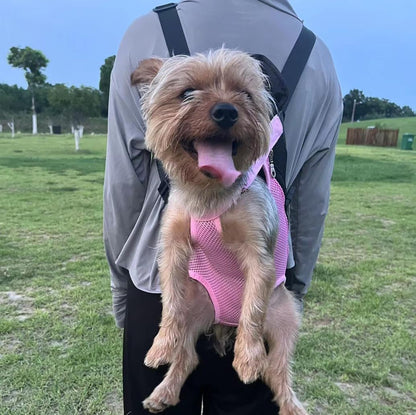 Pet Carrier Backpack, Legs Out Adjustable Pet Front Cat Dog Carrier Backpack, Easy-Fit Dog Travel Backpack Carrier for Hiking Camping for Small Medium Puppies Cats (M, Pink)