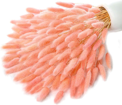 120pcs Dried Bunny Tail, Pink Bunny Tail, Natural Bulk Dried Flowers for DIY Bohemian Wedding Rustic Party Decoration, Home Decoration, Vase Decoration, Wreaths, Cake Decoration. (Pink)
