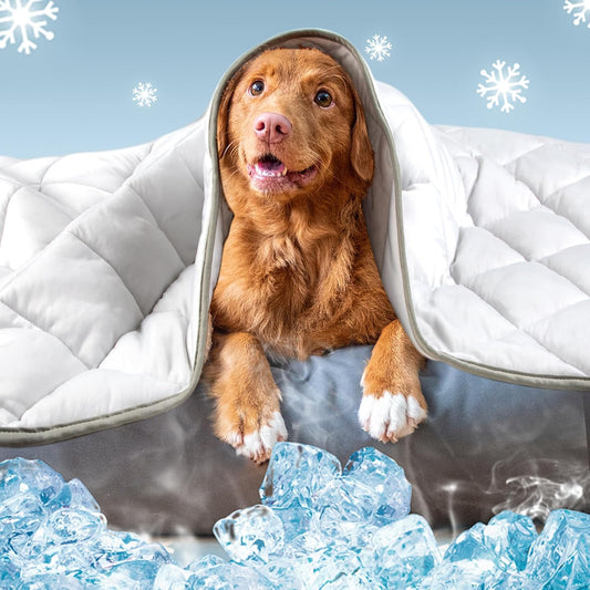 Leekalos Dog Cooling Mat,Pet Cooling Pads for Dogs Blanket,Summer Cooling Bed for Cats Blanket,Portable Pet Cooling Cushion for Home & Outdoor，Keep Cooling for Pets (Cool Grey, Small(22"x28"))