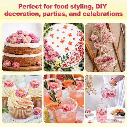 50+ Edible Dried Pink Flowers for Cake Decorations & Cocktail Garnish