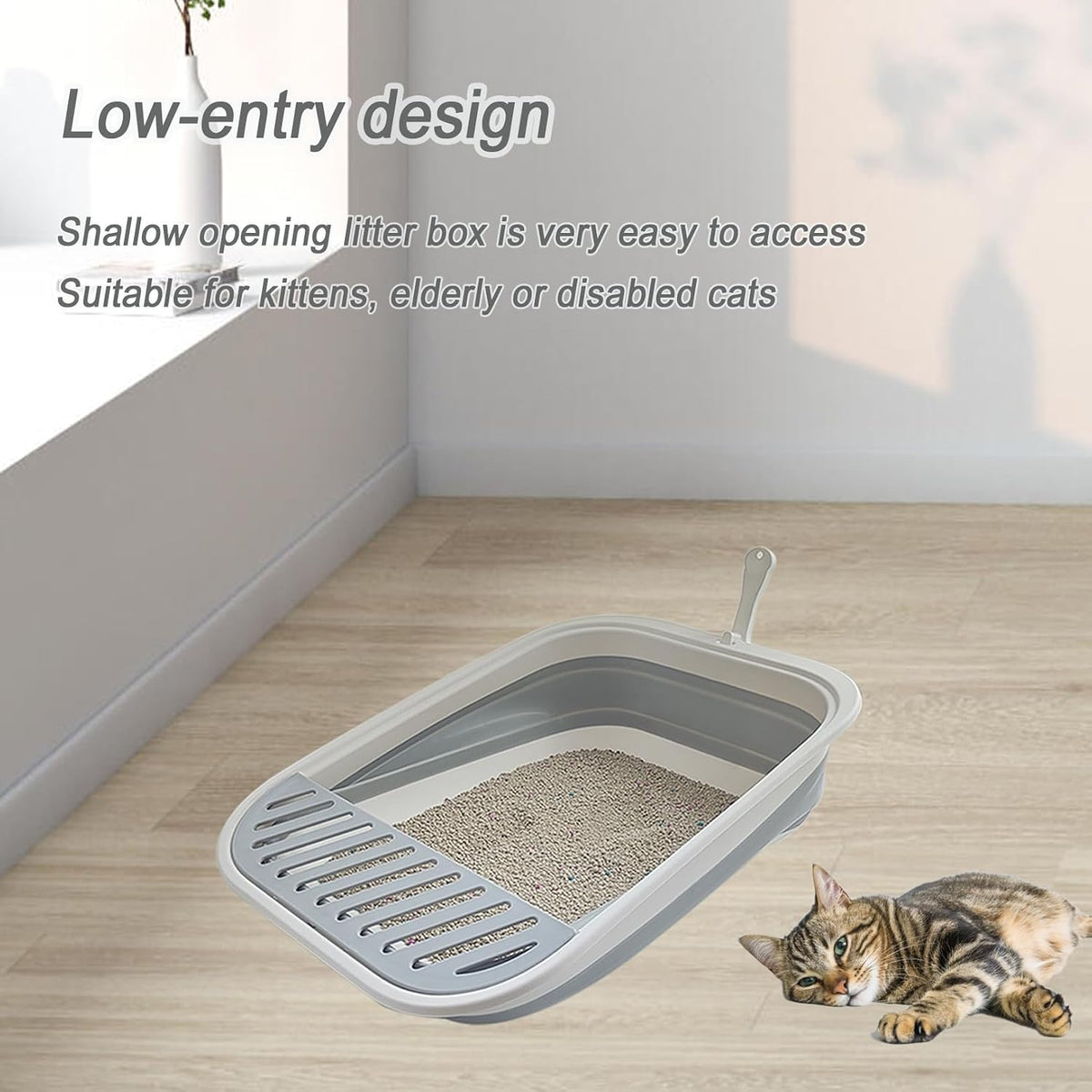 Collapsible Kitten Litter Box Low Entry Small Cat Litter Box M