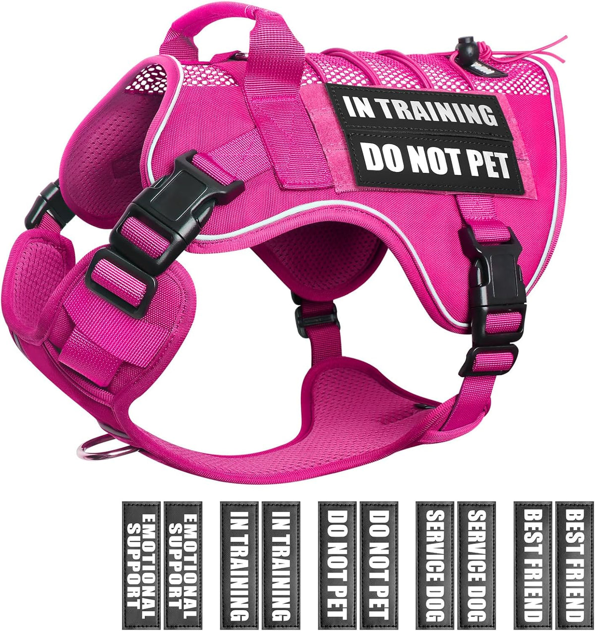 Service Dog in Training Mesh Harness with 10 Removale Pet Patches