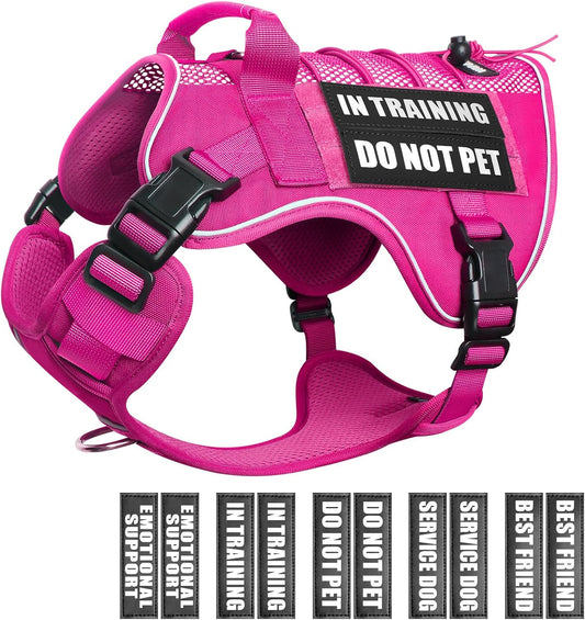 Service Dog in Training Mesh Harness with 10 Removale Pet Patches