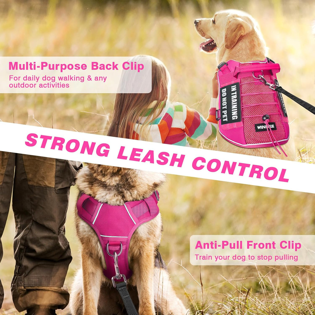 Service Dog in Training Mesh Harness with 10 Removale Pet Patches