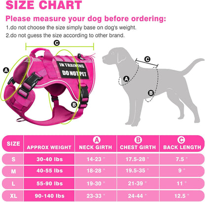 Service Dog in Training Mesh Harness with 10 Removale Pet Patches