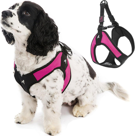 Gooby Escape Free Easy Fit Harness - Hot Pink, X-Small - No Pull Step-in Patented Small Dog Harness with Quick Release Buckle - Perfect On The Go No Pull Harness for Small Dogs or Medium Dog Harness