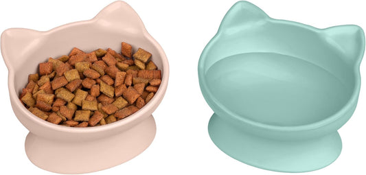 Elevated Cat Bowls (Set of 2), Whisker-Friendly Raised Cat Food & Water Dishes, Modern Pedestal Design, Dishwasher Safe, 6.5 oz Each – Pink & Teal