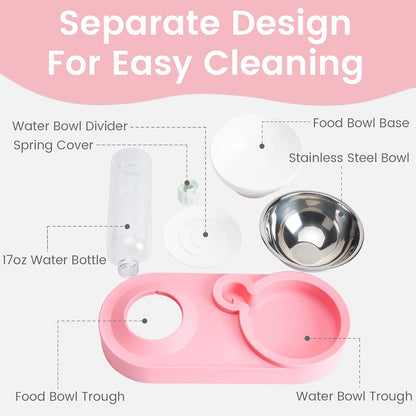 Double Elevated Dog Cat Food Water Bowls, Stainless Steel Cat Food Water Bowl with No-Spill Mat, Raised Tilted Dishes for Indoor Kitten, Puppies, Small or Medium Size Dogs Cats, Pink