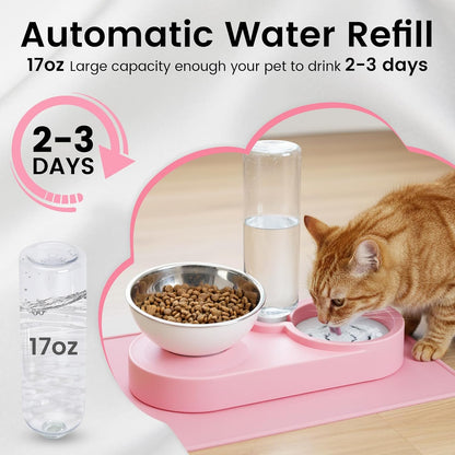 Double Elevated Dog Cat Food Water Bowls, Stainless Steel Cat Food Water Bowl with No-Spill Mat, Raised Tilted Dishes for Indoor Kitten, Puppies, Small or Medium Size Dogs Cats, Pink