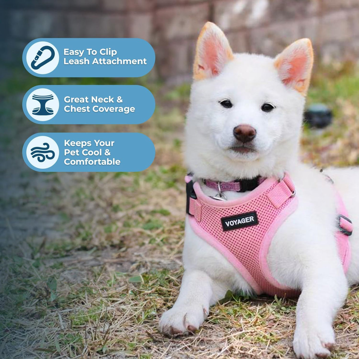 Voyager Step-in Lock Dog Harness - Pink, X-Small