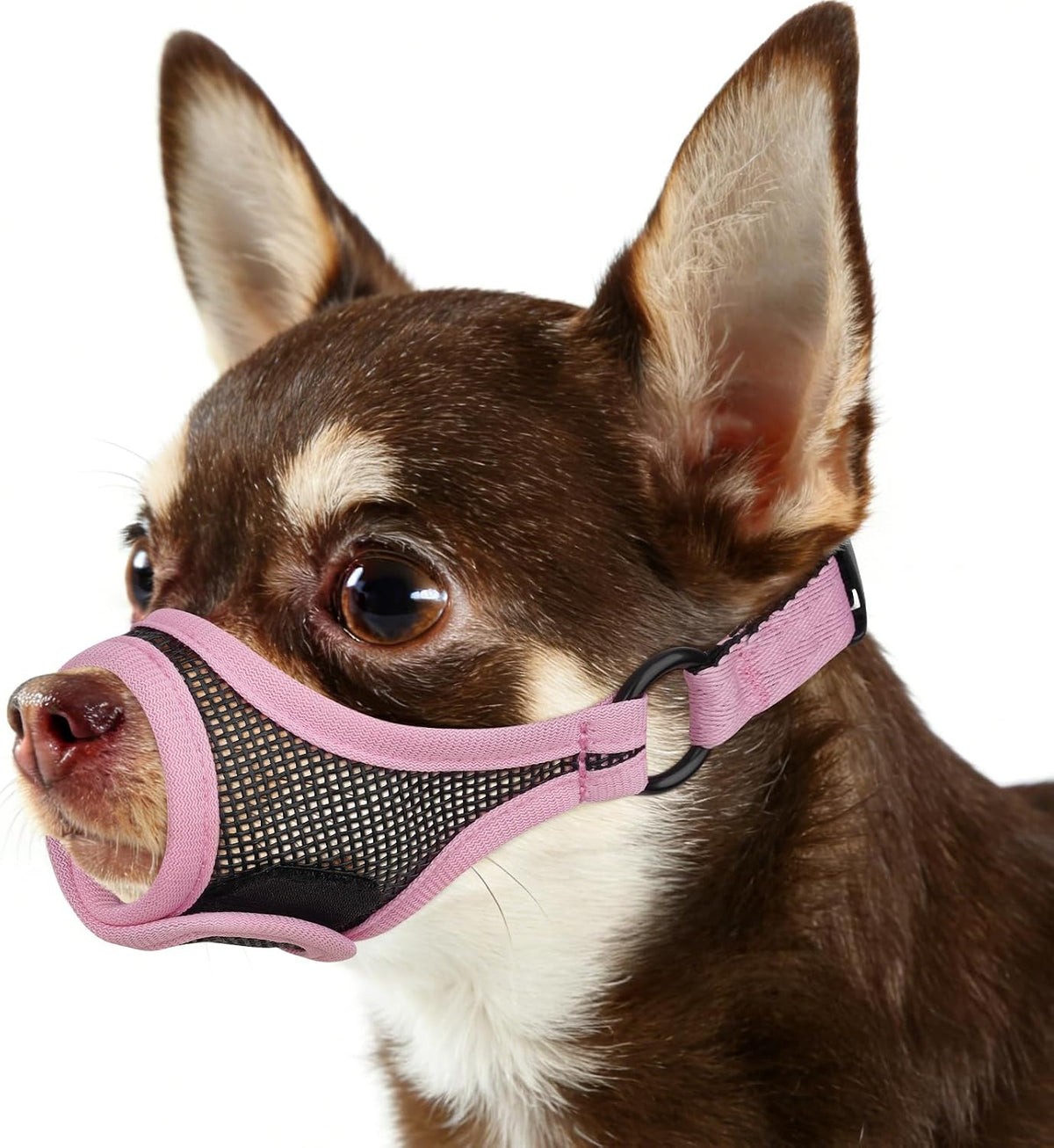 Mesh Dog Muzzle, Adjustable Muzzle for Small Short Snouted Dogs