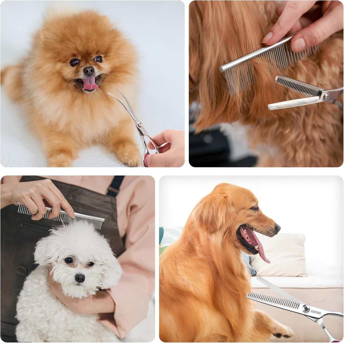 Dog Grooming Scissors with Safety Round Tips Stainless Steel (Pink 4 in 1)