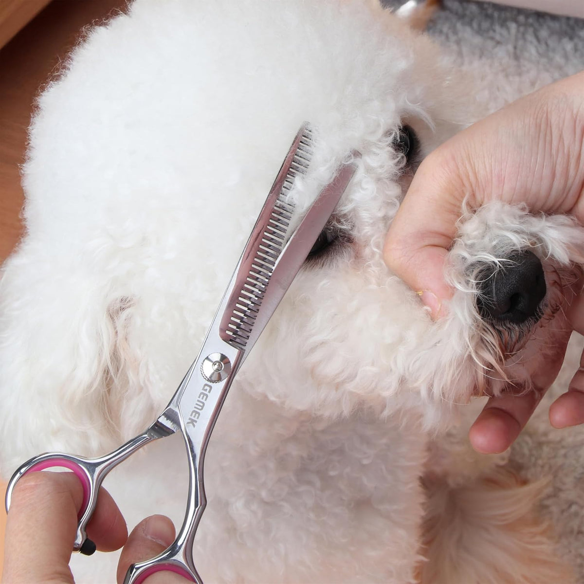 Dog Grooming Scissors with Safety Round Tips Stainless Steel (Pink 4 in 1)