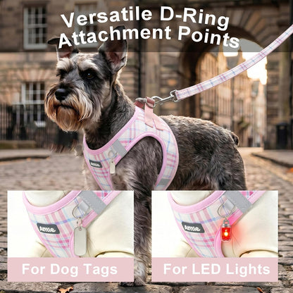 AIITLE Step in Dog Harness and Leash Set Plaid Adjustable, Pink S
