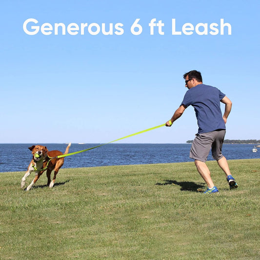 Pink Dog Leash 6 ft M/L Reflective Durable Lightweight Dog Lead for Medium or Large Dogs and Puppies