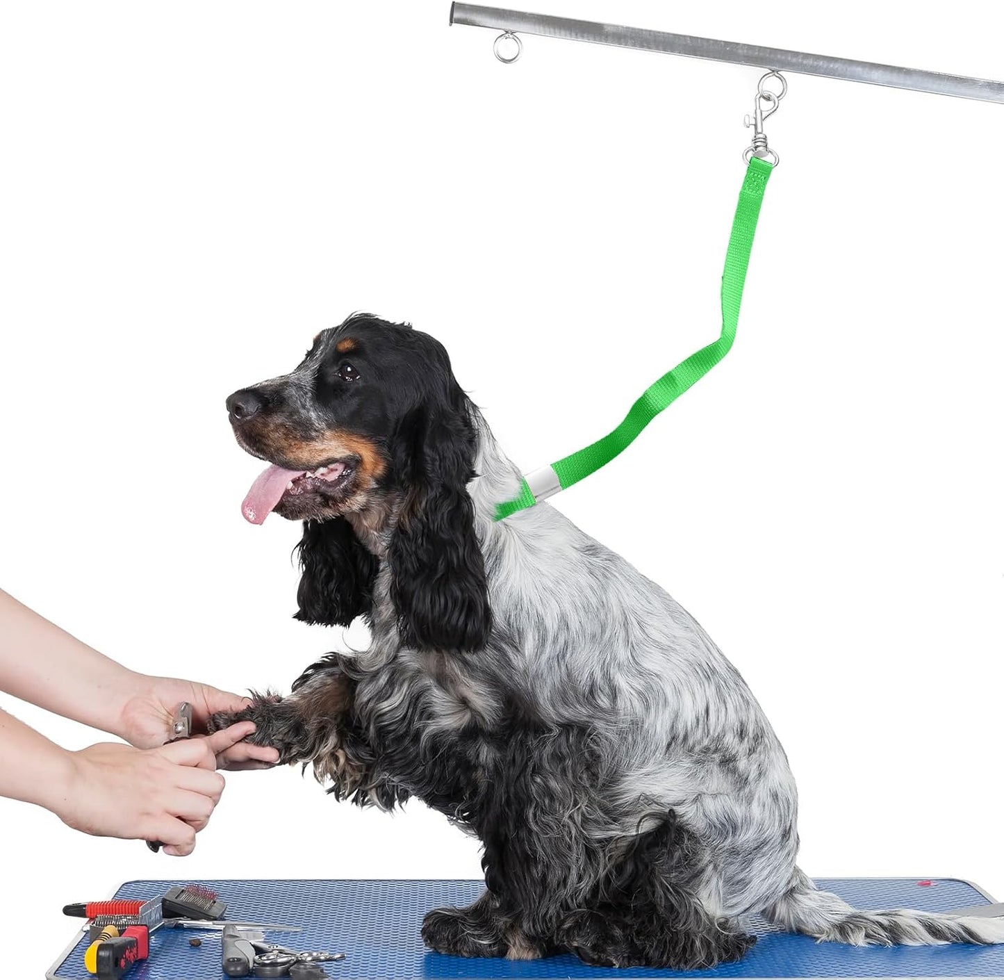 Shinylin 5 Pcs Pet Grooming Loops Nylon Pet Bathing Tether Straps Restraint Noose Dog Grooming Loop Adjustable Fixed Dog Cat Safety Rope for Groomer Table Bathtub, Vibrant Colors