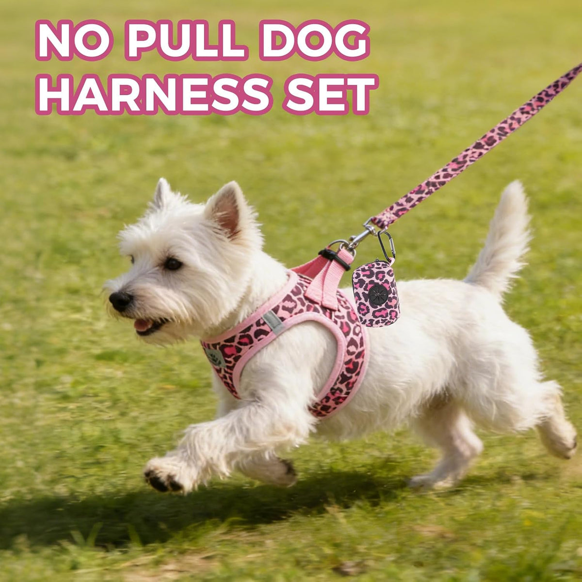 Dog Harness and Leash Set,Step in No Pull Soft Pet Harness, Reflective Adjustable Puppy Vest for Small Medium Dogs Cats,No Choke Harness Vest with Poop Bag Holder for Walking,Running,Leopard M