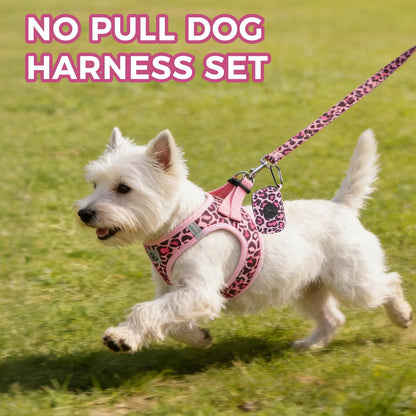 Dog Harness and Leash Set,Step in No Pull Soft Pet Harness, Reflective Adjustable Puppy Vest for Small Medium Dogs Cats,No Choke Harness Vest with Poop Bag Holder for Walking,Running,Leopard M