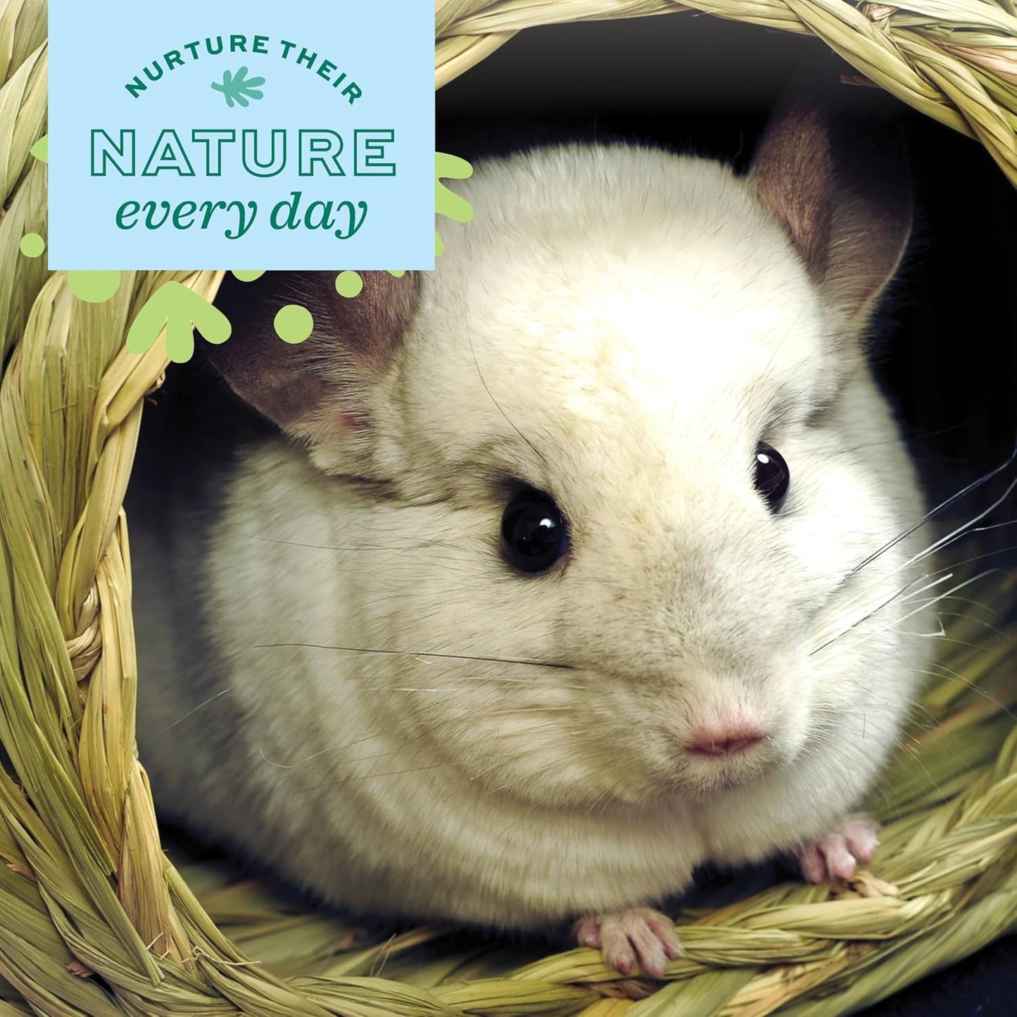 Oxbow Timothy Hay Bungalow, Rabbit & Guinea Pig Hideout, Edible & Hand-Woven Bunny House, No Wires or String, Small Pet Accessories, for Rabbits, Guinea Pigs, Chinchillas & Rats, Large