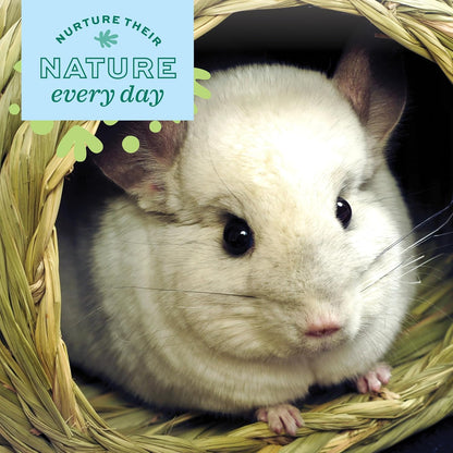 Oxbow Timothy Hay Bungalow, Rabbit & Guinea Pig Hideout, Edible & Hand-Woven Bunny House, No Wires or String, Small Pet Accessories, for Rabbits, Guinea Pigs, Chinchillas & Rats, Large