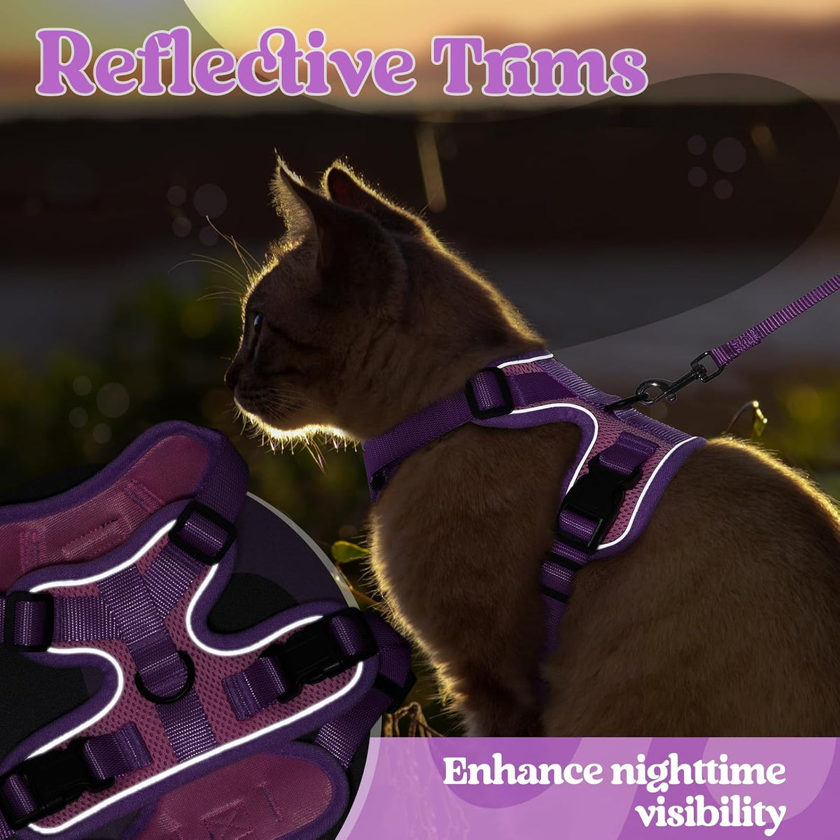 Cat Harness and Leash Set, Escape Proof, Pink & Purple