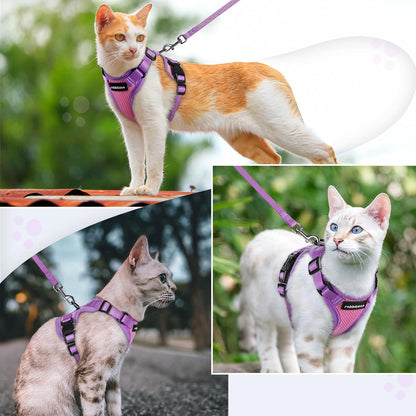 Cat Harness and Leash Set, Escape Proof, Pink & Purple