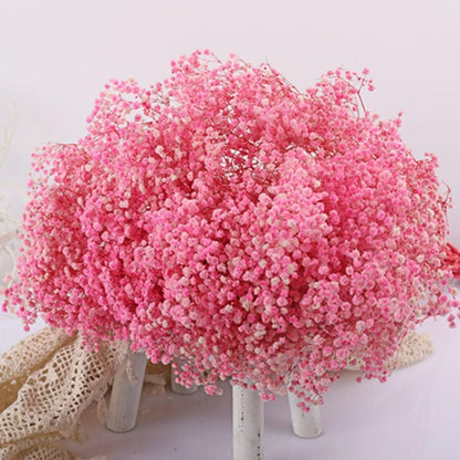 17.2 Inch Dried Flowers Baby's Breath Bouquet - 2500+ Dry Flowers,Natural Gypsophila Branches for Home Decor, Wedding, Table Decor, DIY Wreath Floral, Dry Flowers Bulk for Vase (Pink)