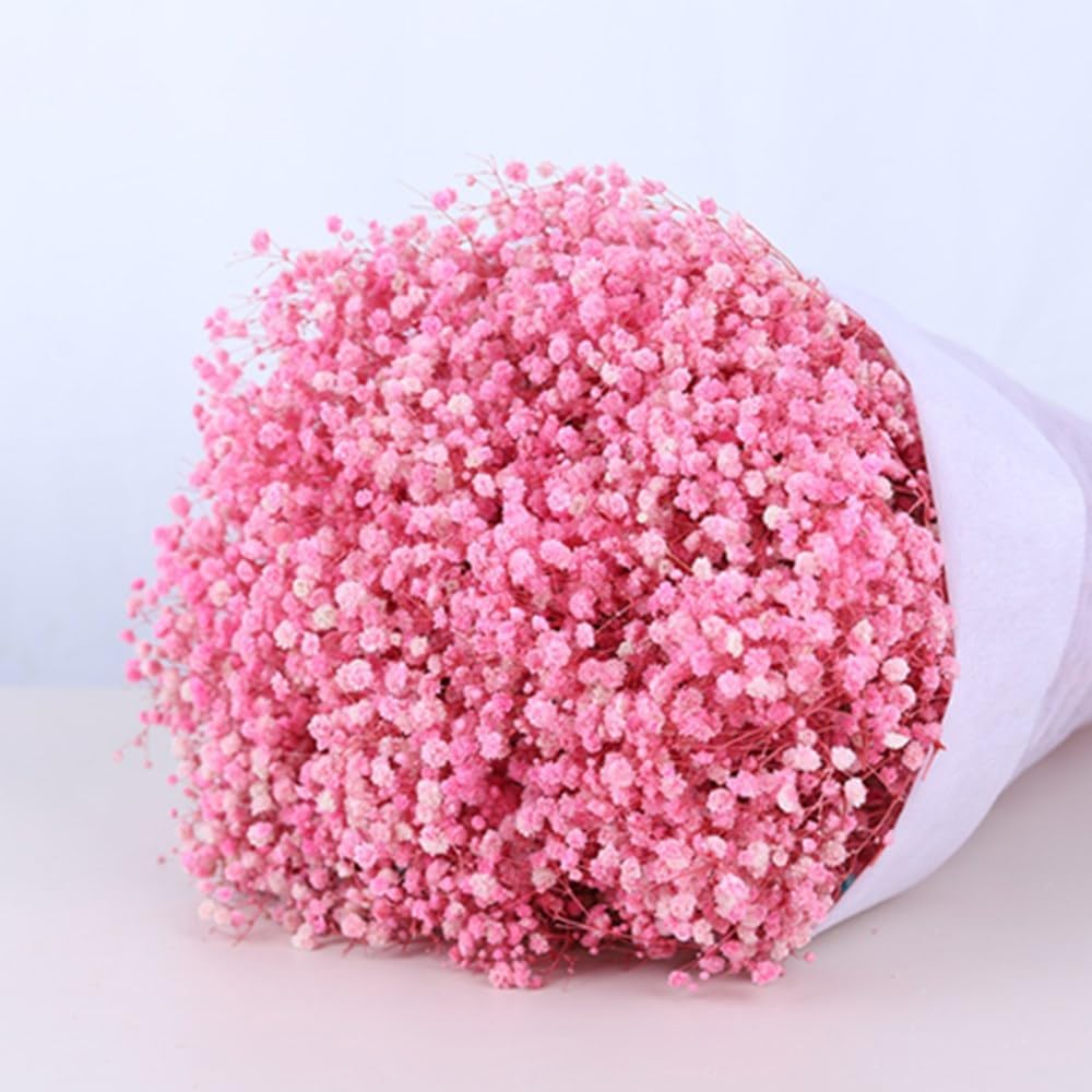 17.2 Inch Dried Flowers Baby's Breath Bouquet - 2500+ Dry Flowers,Natural Gypsophila Branches for Home Decor, Wedding, Table Decor, DIY Wreath Floral, Dry Flowers Bulk for Vase (Pink)