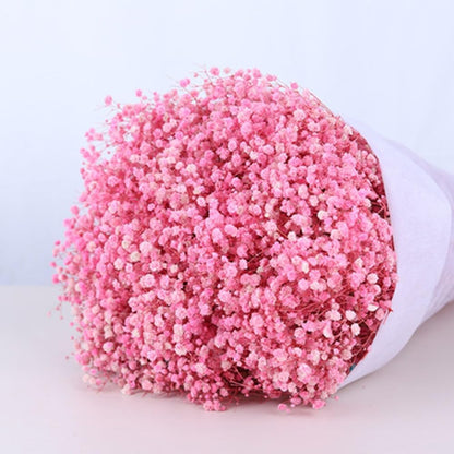 17.2 Inch Dried Flowers Baby's Breath Bouquet - 2500+ Dry Flowers,Natural Gypsophila Branches for Home Decor, Wedding, Table Decor, DIY Wreath Floral, Dry Flowers Bulk for Vase (Pink)