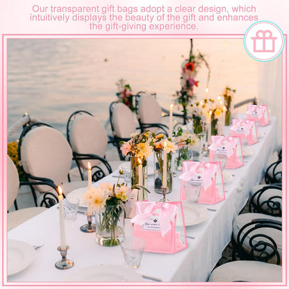 12 Pack Small Clear Gift Bags with Handles Bulk,Pink