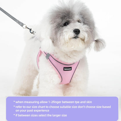 Sparkly XXXS Dog Harness and Leash Set, Step in Soft Light Puppy Vest, Breathable Reflective Pet Harness for Walking, Puppy Harness for Small Dogs Cats (Pink, XXXS)