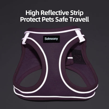 Sparkly XXXS Dog Harness and Leash Set, Step in Soft Light Puppy Vest, Breathable Reflective Pet Harness for Walking, Puppy Harness for Small Dogs Cats (Pink, XXXS)