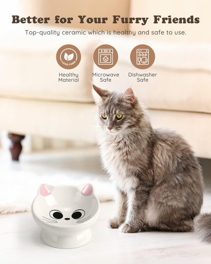 Raised Cat Food Bowl Ceramic 15° Tilted Cat Food Bowls Protect Cat's Spine Anti Vomiting Backflow Prevention Bowls for Adult Kitty, Kitten, and Small Dogs, Pink