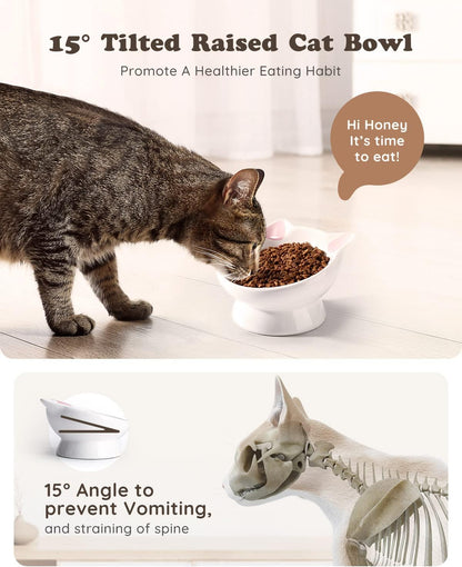 Raised Cat Food Bowl Ceramic 15° Tilted Cat Food Bowls Protect Cat's Spine Anti Vomiting Backflow Prevention Bowls for Adult Kitty, Kitten, and Small Dogs, Pink