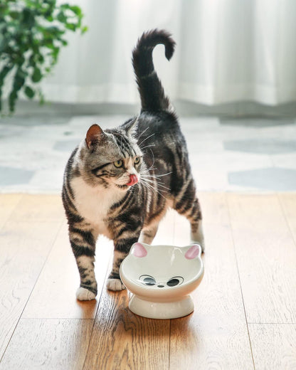 Raised Cat Food Bowl Ceramic 15° Tilted Cat Food Bowls Protect Cat's Spine Anti Vomiting Backflow Prevention Bowls for Adult Kitty, Kitten, and Small Dogs, Pink