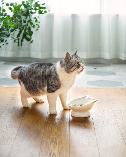 Raised Cat Food Bowl Ceramic 15° Tilted Cat Food Bowls Protect Cat's Spine Anti Vomiting Backflow Prevention Bowls for Adult Kitty, Kitten, and Small Dogs, Pink