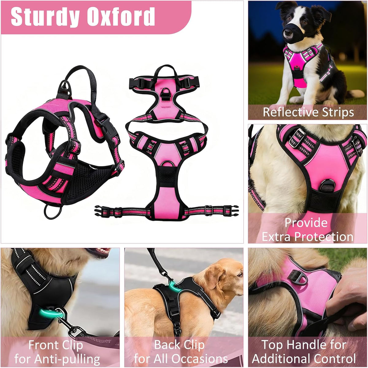No Pull Dog Harness Adjustable Collar & Leash Set - Dog Halter Harnesses Collapsible Bowls & Poop Bag Dispenser Muzzle ID Tags Toys Fits Small Medium Large Dogs (Pink-XL)