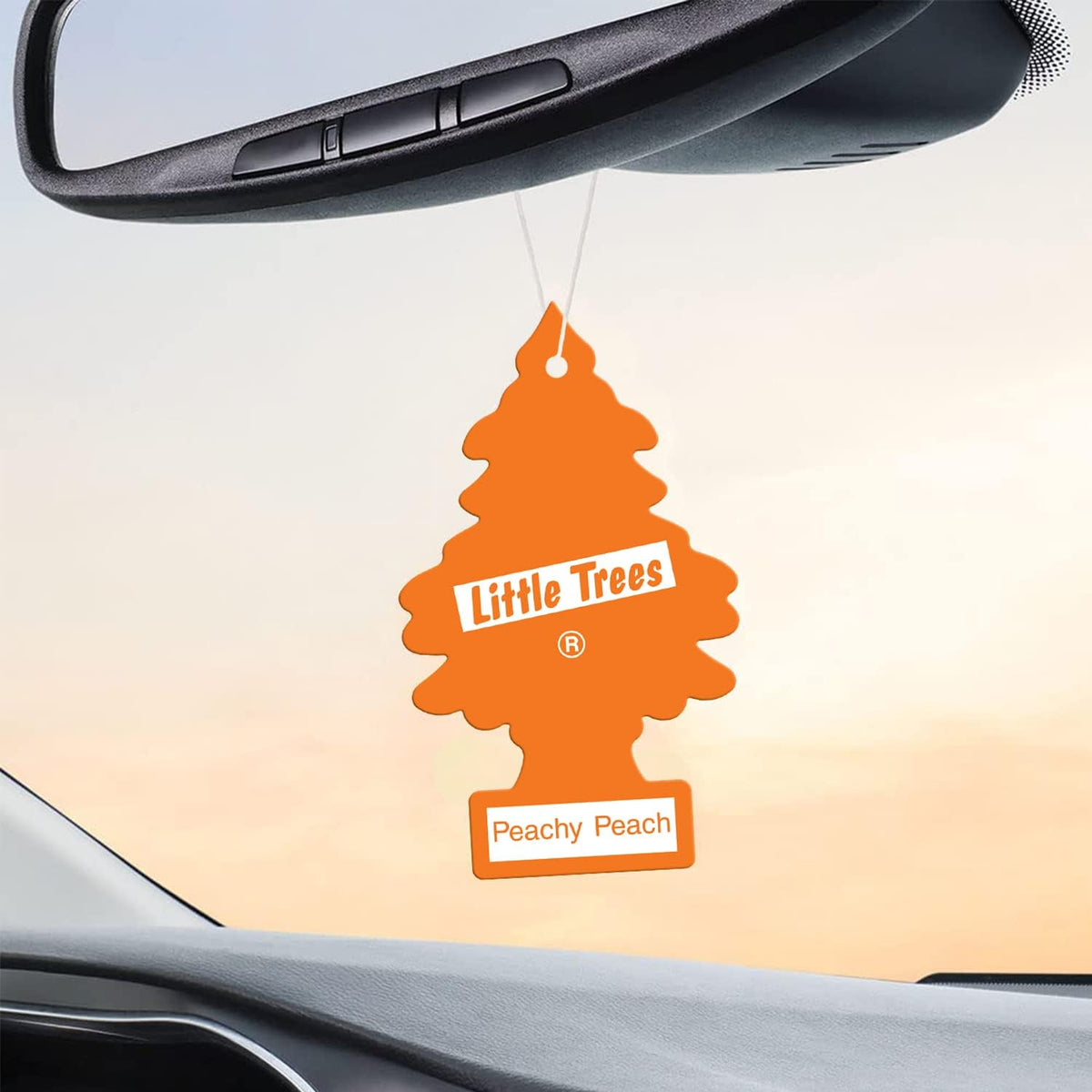 Cardboard Hanging Car, Home & Office Air Freshener, Peachy Peach (Pack of 6)