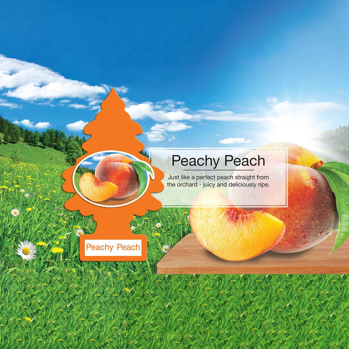 Cardboard Hanging Car, Home & Office Air Freshener, Peachy Peach (Pack of 6)