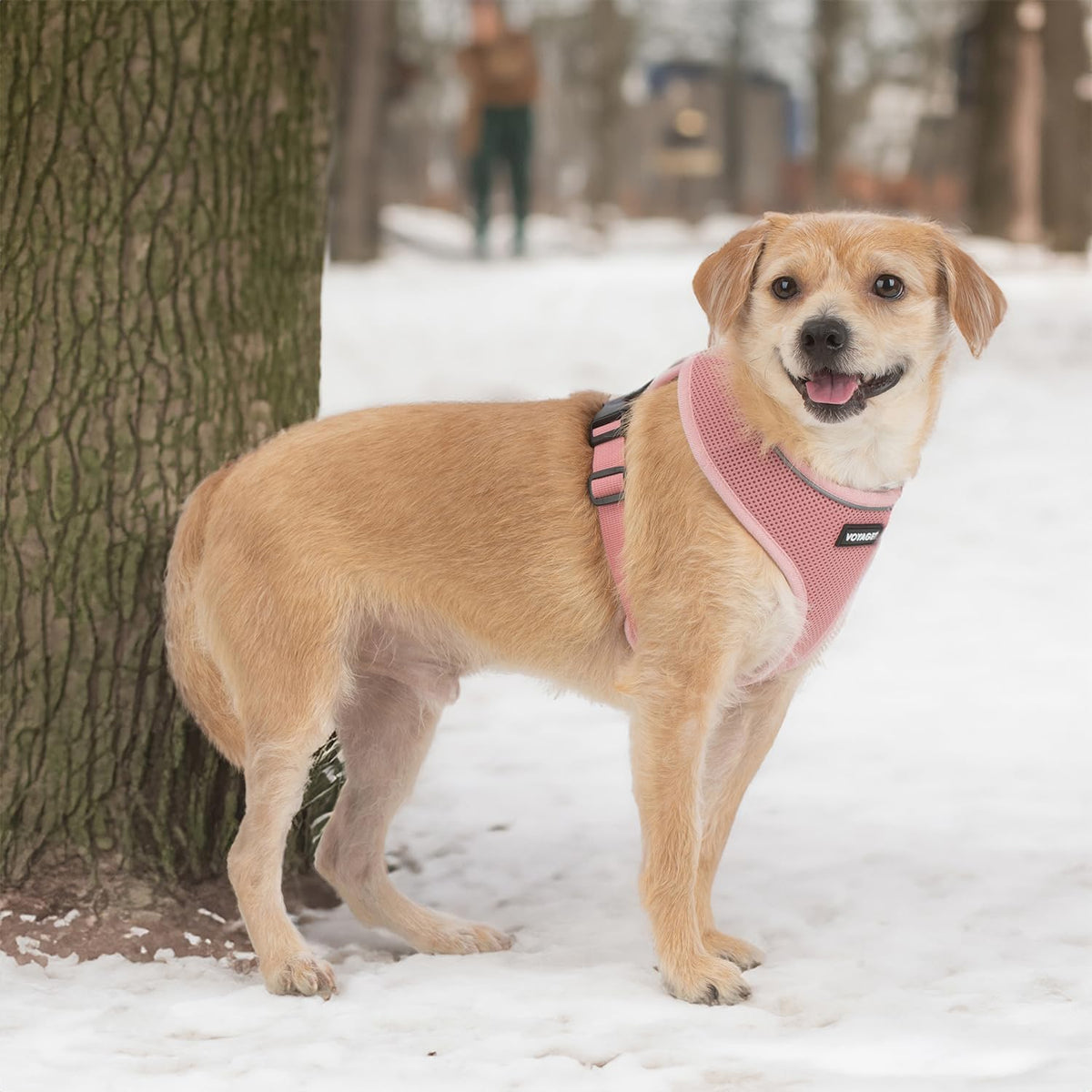 Best Pet Supplies Voyager Aerolite Over the Head Dog Harness, No Pull Breathable Air Mesh Vest, Quick Dry with Reflective Stitching, Adjustable Escape Resistant Harness - Pink, Small