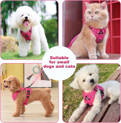SOLMOONY Small Dog Harness,Soft Mesh Puppy Harness and Leash Set,No Escape Cat Harnesses for Training Walking,Reflective Adjustable Puppy Vest for Small Medium Dogs, Cats (Hot Pink, S)