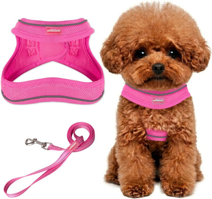 Dog Harness and Leash Set,Step in Small Sized Dog Harness,Soft Mesh,No-Chock,Reflective Adjustable,Secure with Hook & Loop Fastener,Puppy Vest for Small,Medium Dogs(Pink,S)
