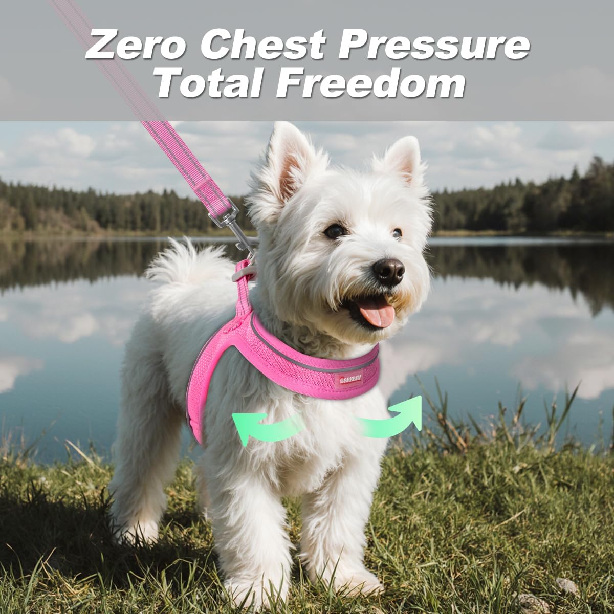 Dog Harness and Leash Set,Step in Small Sized Dog Harness,Soft Mesh,No-Chock,Reflective Adjustable,Secure with Hook & Loop Fastener,Puppy Vest for Small,Medium Dogs(Pink,S)