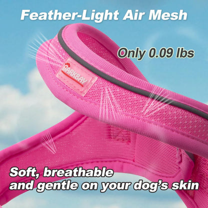 Dog Harness and Leash Set,Step in Small Sized Dog Harness,Soft Mesh,No-Chock,Reflective Adjustable,Secure with Hook & Loop Fastener,Puppy Vest for Small,Medium Dogs(Pink,S)