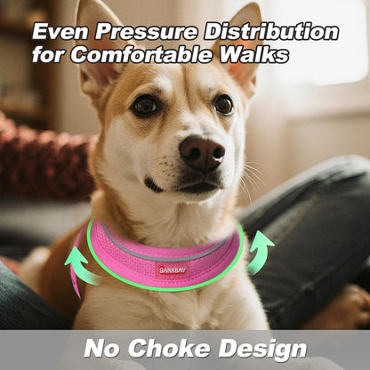 Dog Harness and Leash Set,Step in Small Sized Dog Harness,Soft Mesh,No-Chock,Reflective Adjustable,Secure with Hook & Loop Fastener,Puppy Vest for Small,Medium Dogs(Pink,S)