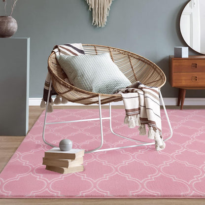 Amearea Fluffy Geometric 4x6 Area Rug for Bedroom Living Room, Pink