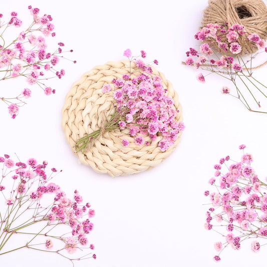 Pink 70 Pcs Small Dried Babys Breath Flowers for Resin ,Real Dried Babys Breath Pressed Flower for Wedding Invitations Wax Seals ,Dry Flat Baby's Breath Flower with 2 Tweezers.